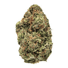 Dried Cannabis - MB - 7Acres Jack Haze Flower - Format: - 7Acres