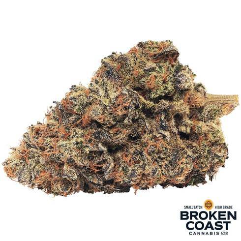 Dried Cannabis - SK - Broken Coast Saturna Muskmelon OG Flower - Format: - Broken Coast