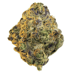 Dried Cannabis - SK - Delta 9 Scoops Flower - Format: - Delta 9