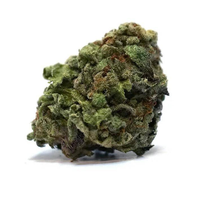 Dried Cannabis - SK - Tweed Houndstooth Flower - Format: - Tweed