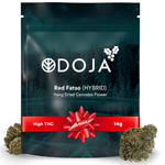 Dried Cannabis - SK - Doja Red Fatso Flower - Format: - Doja