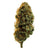 Dried Cannabis - AB - Edison El Dorado Flower - Grams: - Edison