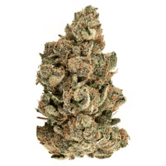 Dried Cannabis - SK - Big Bag O' Buds Pink Kush Mints Flower - Format: - Big Bag O' Buds