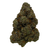 Dried Cannabis - SK - Ostara Life Hack Flower - Format: - Ostara