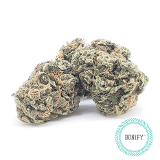 Dried Cannabis - MB - Bonify Glueberry OG Flower - Format: - Bonify