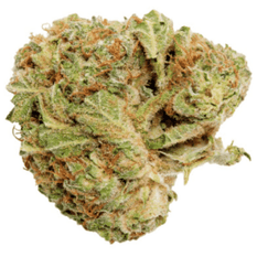 Dried Cannabis - MB - Good Supply Grower's Choice Indica Flower - Format: - Good Supply