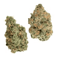 Dried Cannabis - MB - Big Bag O' Buds CombOz Ultrasour + Tropcookies Flower - Format: