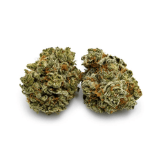 Dried Cannabis - MB - Pure Sunfarms Afghan Kush Flower - Grams: - Pure Sunfarms