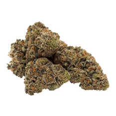 Dried Cannabis - MB - Doja Fresh Biscotti Flower - Format: - Doja