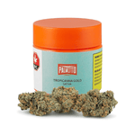 Dried Cannabis - MB - Palmetto Tropicanna Gold Flower - Format: - Palmetto