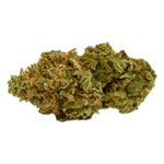 Dried Cannabis - DNA Genetics Chocolate Fondue Flower - Format: - DNA Genetics