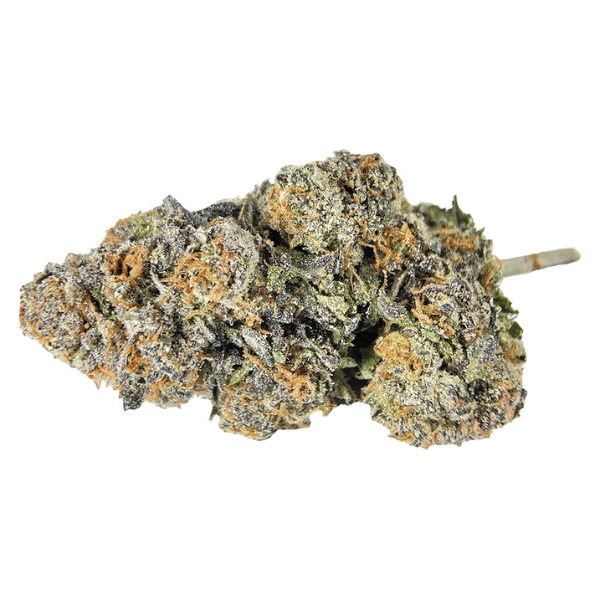 Dried Cannabis - SK - Black Rose Reserve Gassy Rainbow Grapes Flower - Format: - Black Rose Reserve