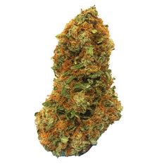 Dried Cannabis - SK - Benchmark Botanics SnowBud Flower - Format: - Benchmark Botanics