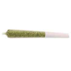 Dried Cannabis - MB - MSIKU Nova Glue Pre-Roll - Format: - MSIKU
