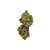 Dried Cannabis - SK - Broken Coast Galiano Northern Lights Flower - Format: - Broken Coast