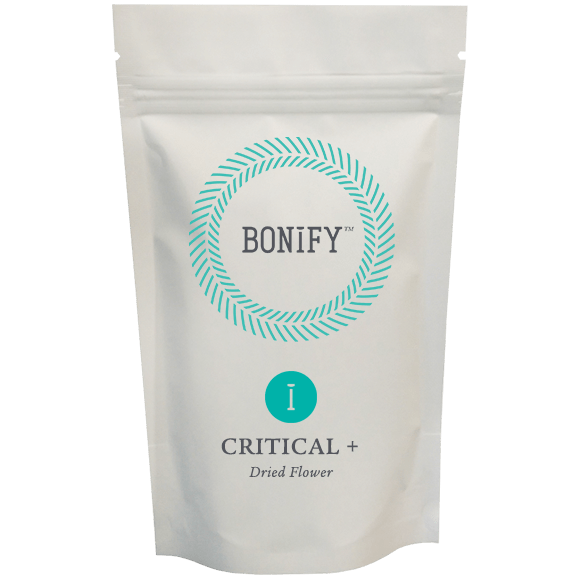 Dried Cannabis - SK - Bonify Dinafem Critical+ Flower - Format: - Bonify