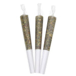 Dried Cannabis - AB - Canca Blend 14 Pre-Roll - Grams: - Canaca