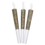 Dried Cannabis - MB - Canaca Blend 19 Pre-Roll - Grams: - Canaca