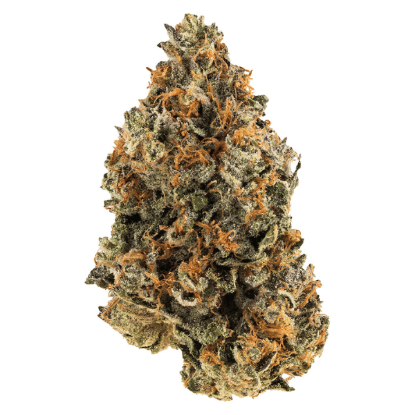 Dried Cannabis - MB - Ripe Flower Cali Kush 1-1 THC-CBD Flower - Format: - Ripe Flower