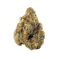 Dried Cannabis - MB - Snicklefritz Hybrid Flower - Format: