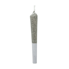 Dried Cannabis - MB - Table Top Diesel Dough Pre-Roll - Format: - Table Top