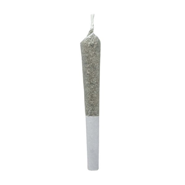 Dried Cannabis - SK - Table Top Durban Lime Pre-Roll - Format: - Table Top