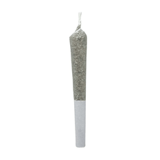 Dried Cannabis - SK - Table Top Diesel Dough Pre-Roll - Format: - Table Top