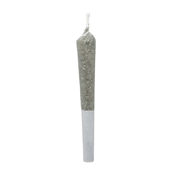 Dried Cannabis - SK - Table Top Diesel Dough Pre-Roll - Format: - Table Top