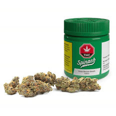 Dried Cannabis - SK - Spinach Green Monster Breath Flower - Format: - Spinach