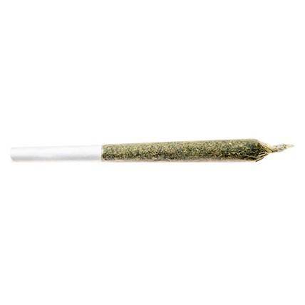 Dried Cannabis - AB - Good Supply Dealer's Pick Sativa Pre-Roll - Grams: - Good Supply