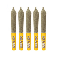 Extracts Inhaled - MB - Trippy Sips Peach High-Alive Infused Pre-Roll - Format: