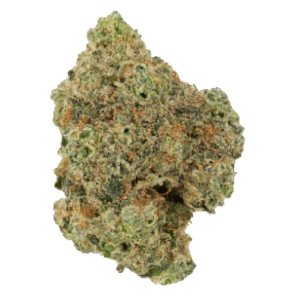 Dried Cannabis - SK - Highland Grow Space Jager Flower - Format: - Highland Grow