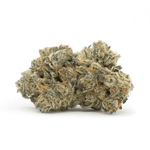Dried Cannabis - SK - OUEST Oreoz Flower - Format: - OUEST