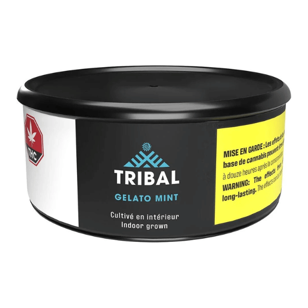 Dried Cannabis - SK - Tribal Gelato Mint Flower - Format: