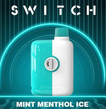 RTL - Mr Fog Switch Disposable Vape Mint Menthol 5500 Puffs - Mr Fog