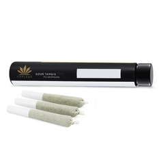 Dried Cannabis - SK - Top Leaf Sour Tangie Pre-Roll - Format: - Top Leaf