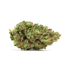 Dried Cannabis - MB - Canaca Jack Herer Flower - Grams: - Canaca
