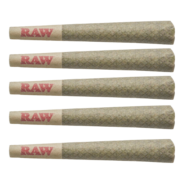 Dried Cannabis - SK - Tribal Galactic Rntz Pre-Roll - Format: