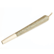 Dried Cannabis - MB - Terp Town Collective Thicc Mintz Pre-Roll - Format: - Terp Town Collective