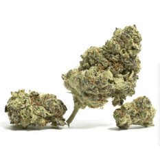 Dried Cannabis - MB - Dry Island WiFi Flower - Format: - Dry Island