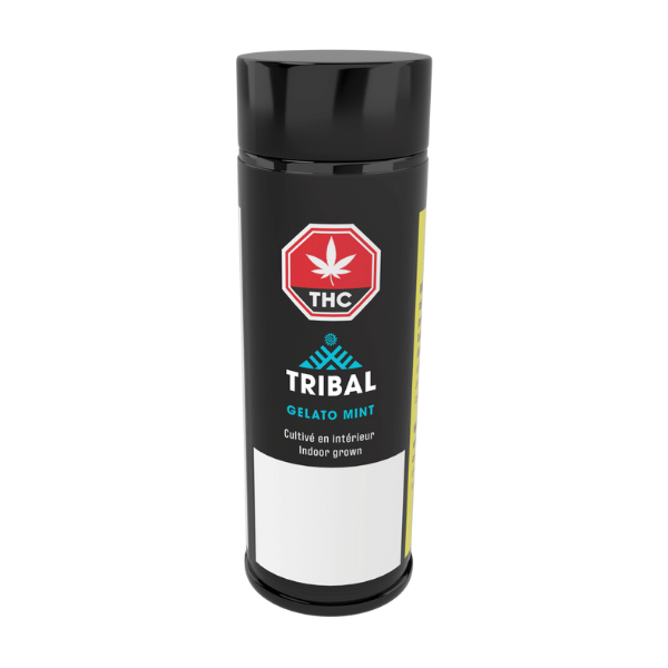 Dried Cannabis - SK - Tribal Gelato Mint Pre-Roll - Format: