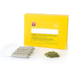 Dried Cannabis - MB - Sundial Lemon Riot Pre-Roll - Grams: - Sundial Lift