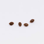 Cannabis Seeds - SK - OneLeaf Animal Cracker Seeds - Format: - OneLeaf