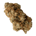 Dried Cannabis - MB - OGEN Retro Release Gas Berries #112 Flower - Format: - OGEN