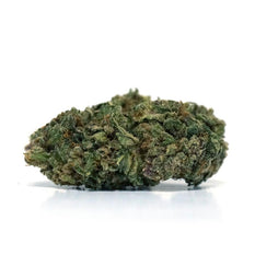 Dried Cannabis - SK - Tweed Herringbone Flower - Format: - Tweed