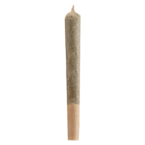 Dried Cannabis - MB - Versus BC God Bud Pre-Roll - Format: - Versus