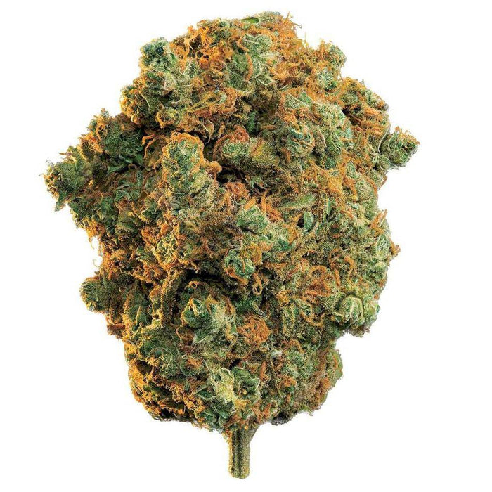 Dried Cannabis - MB - Edison La Strada Flower - Grams: