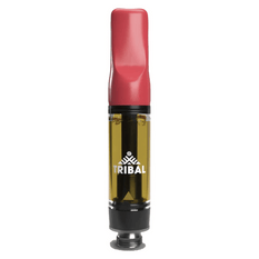 Extracts Inhaled - SK - Tribal Power Sherb Live Resin THC 510 Vape Cartridge - Format: