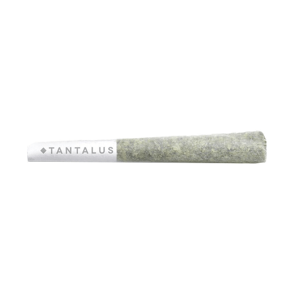 Dried Cannabis - SK - Tantalus More Cowbell Pre-Roll - Format: