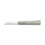 Dried Cannabis - MB - Tantalus Petrolcan Pre-Roll - Format: